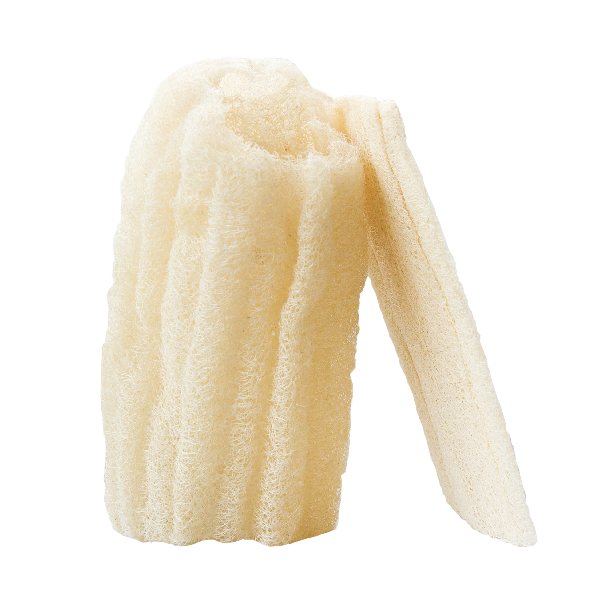Loofah brut | Eponge durable – Image 8