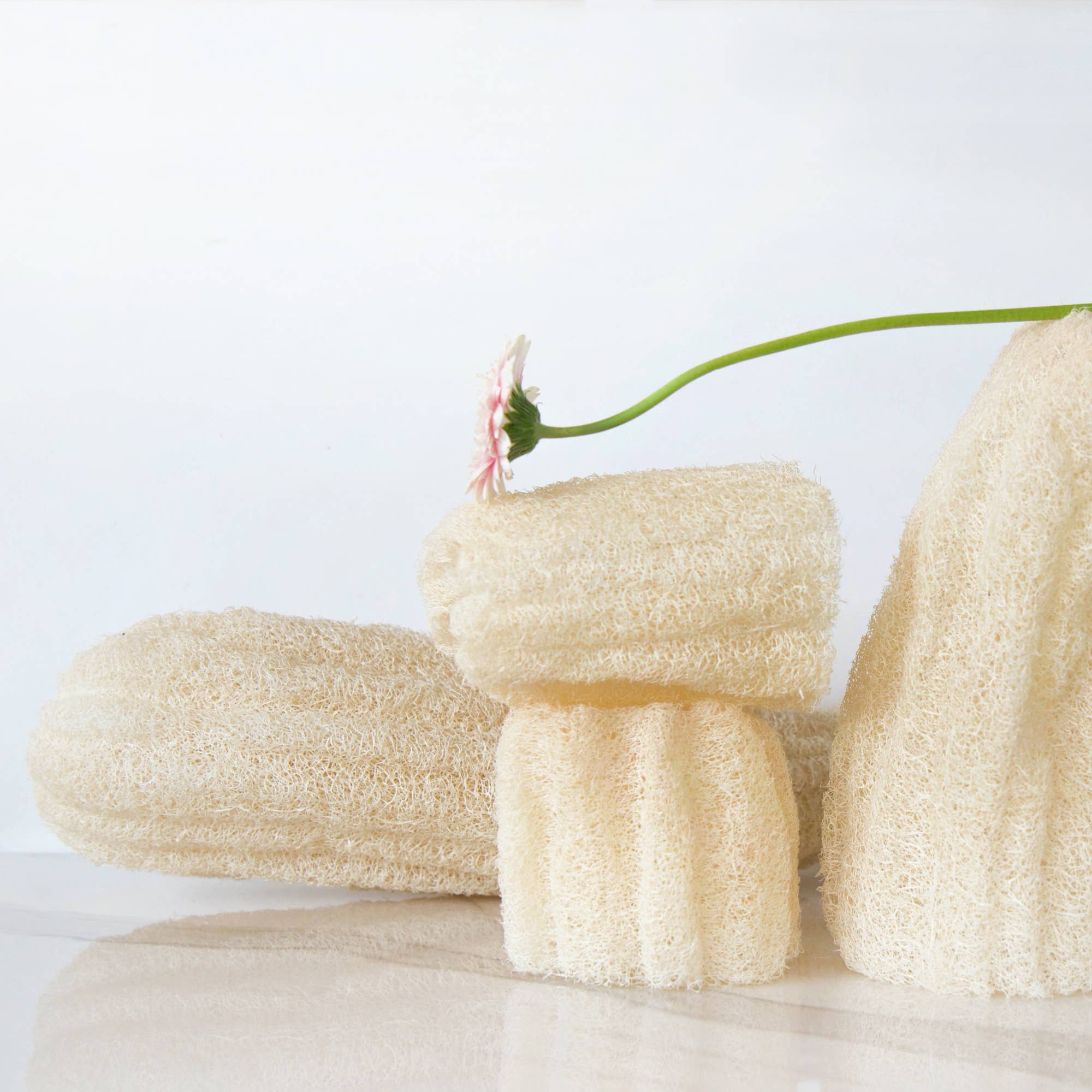 Loofah brut | Eponge durable