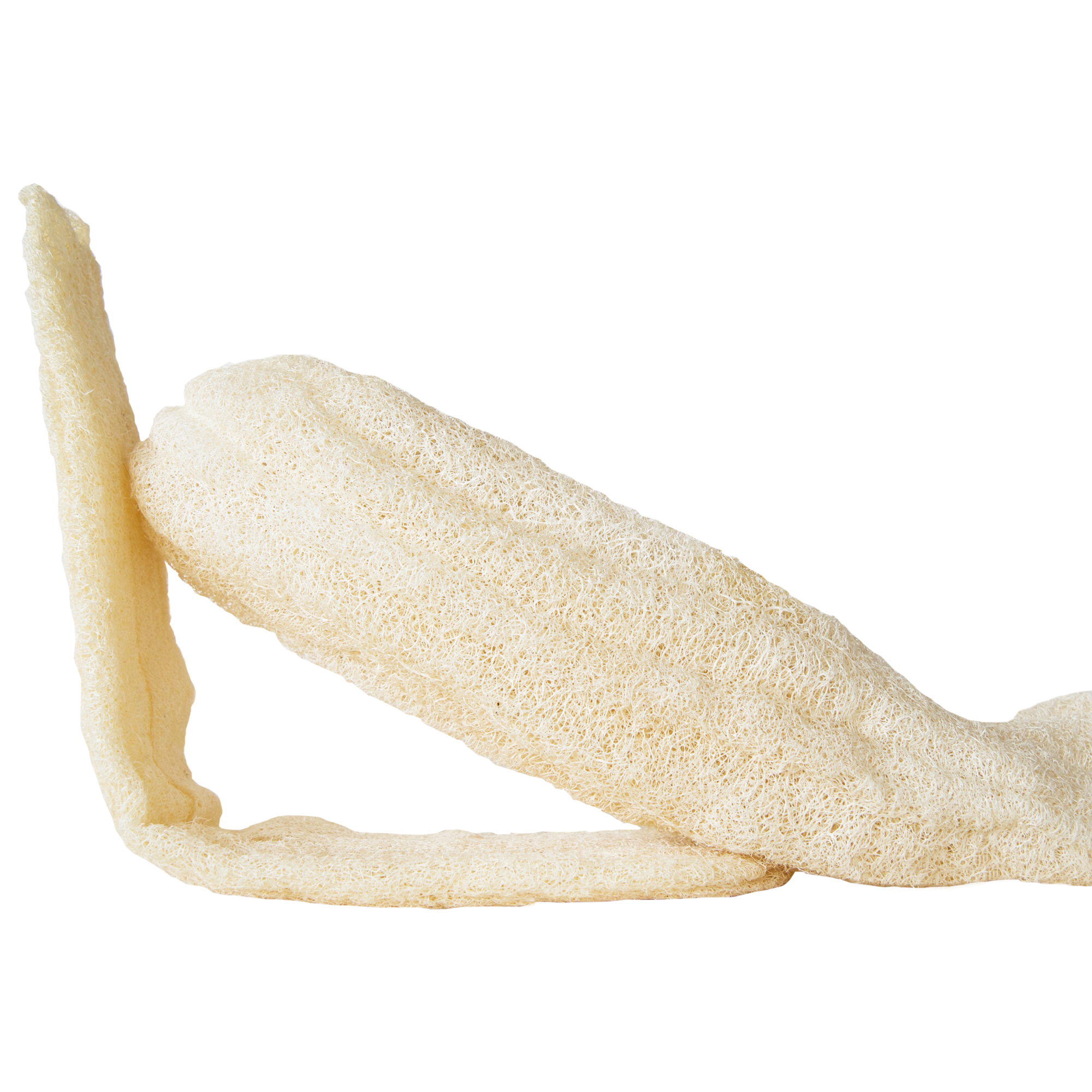 Loofah brut | Eponge durable – Image 9