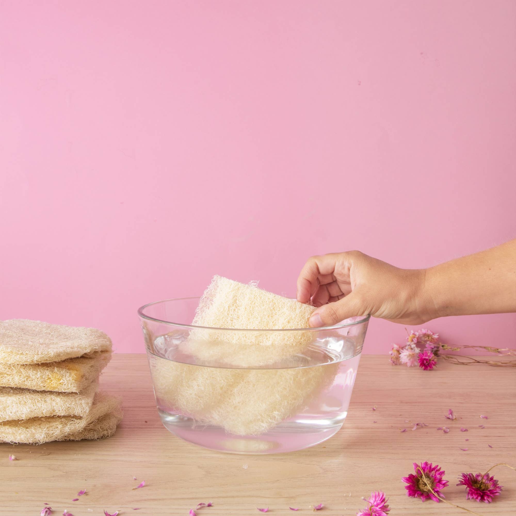 Loofah brut | Eponge durable – Image 3