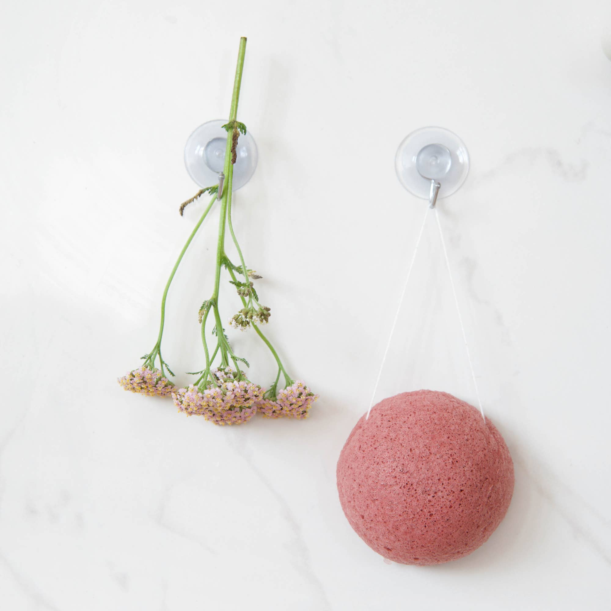 IMPLANTATION BEST-SELLERS – Image 16