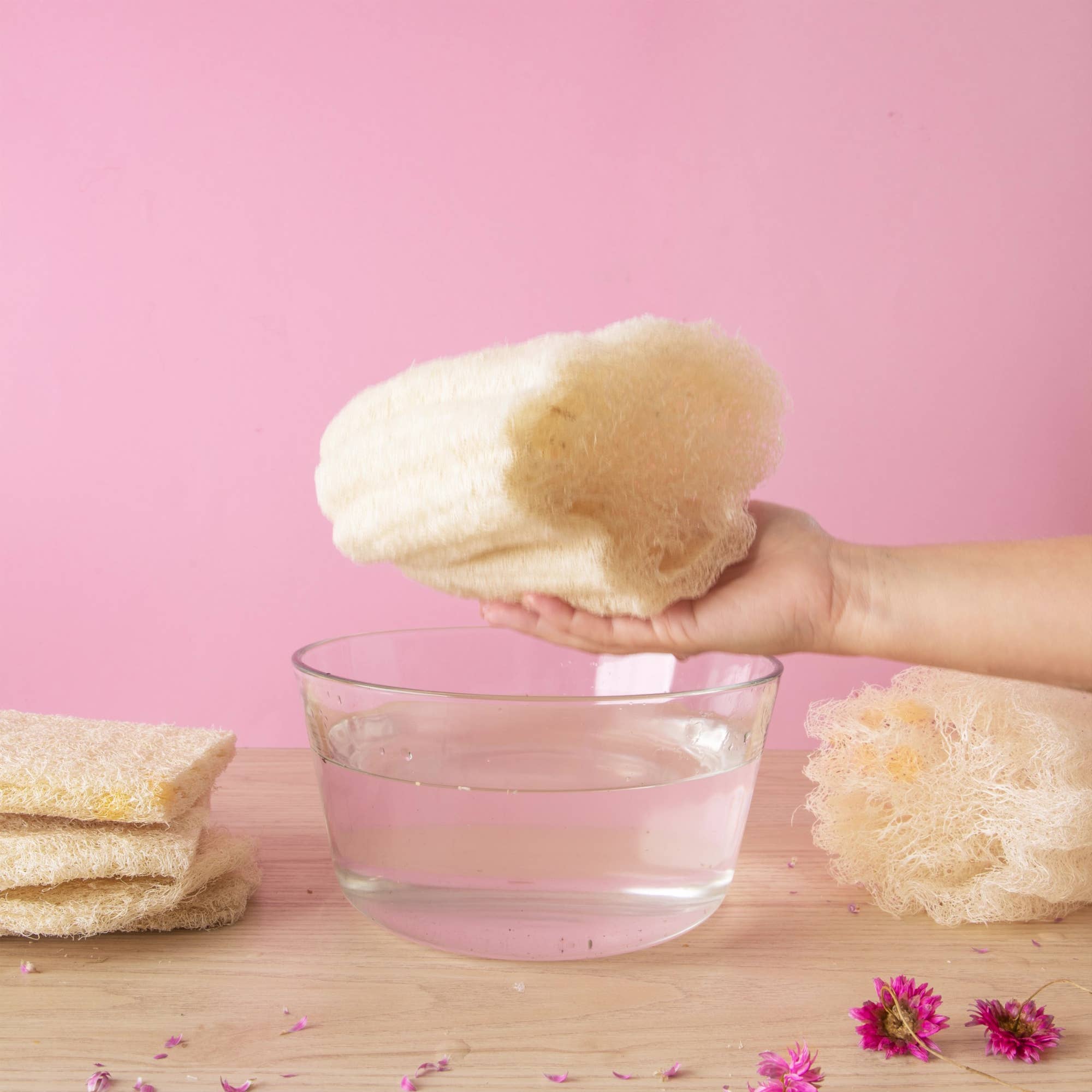 Loofah brut | Eponge durable – Image 10