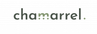 Logo principal BIVERT-02-rect